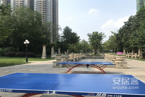 金堂恒大御景半岛房价